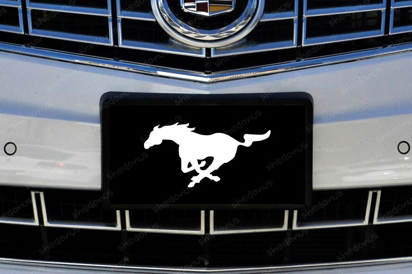 Mustang License Plate Acrylic Any Car Tag Mustang Ford Permium