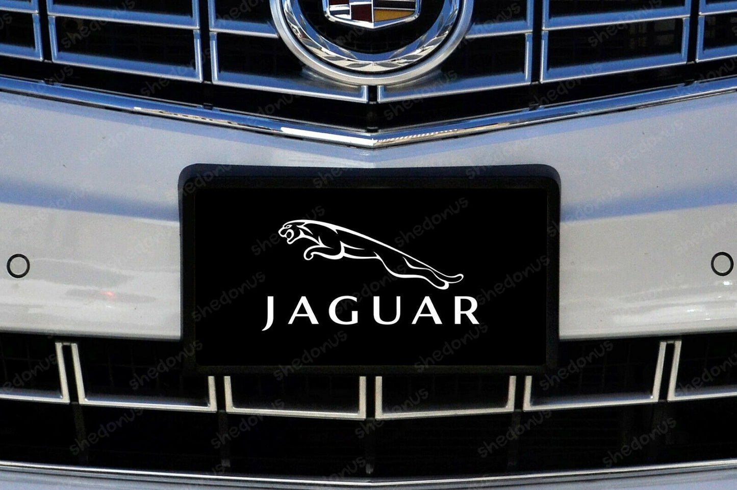 Jaguar License Plate Any XJ XE I-Pace E-type XK XF